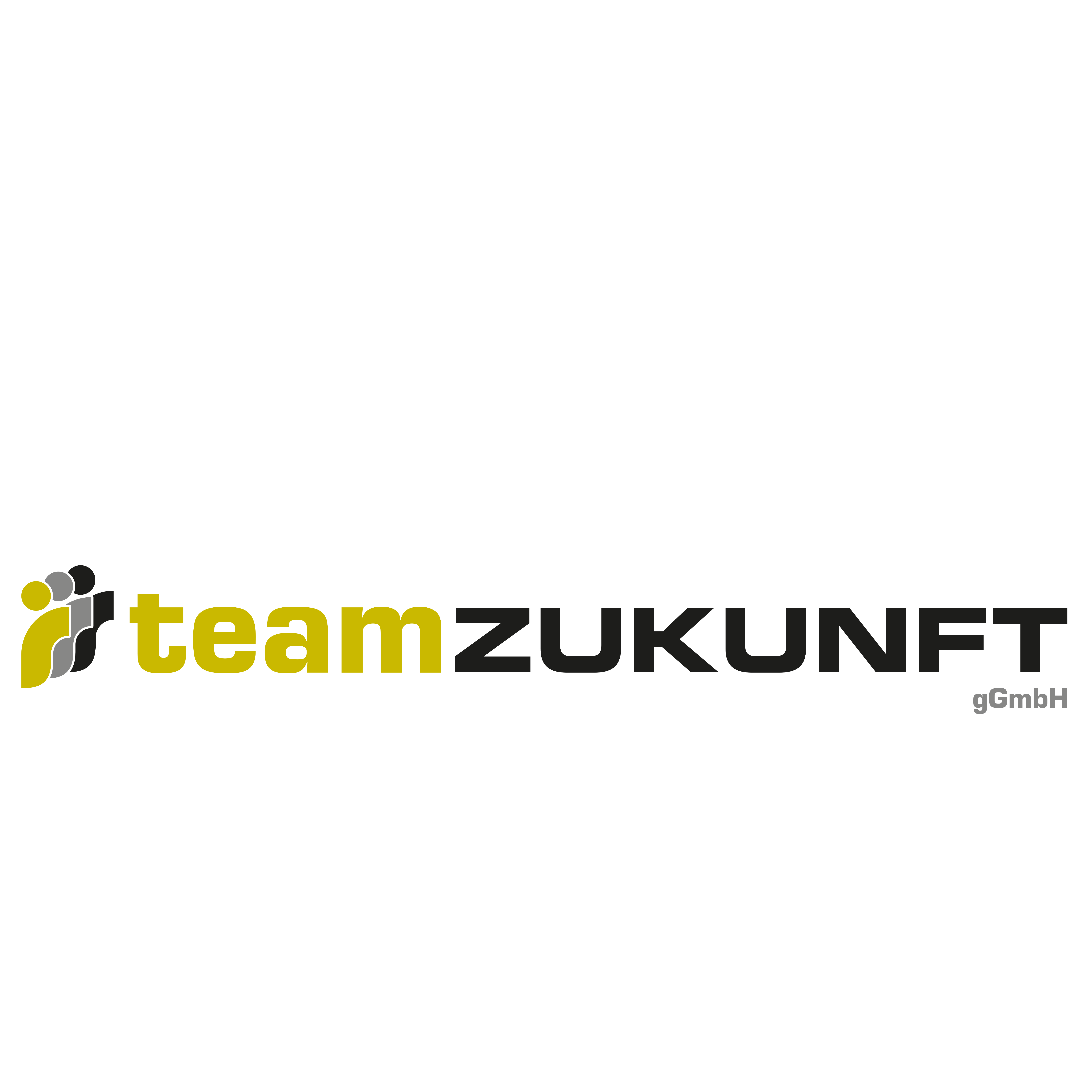 teamZukunft Logo